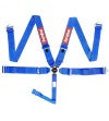 RaceQuip SFI CAMLOCK 5pt Pull Down Lap Seat Belt